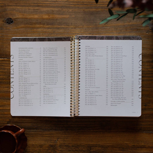 A Year in the Bible | Volume 2 Bible Study