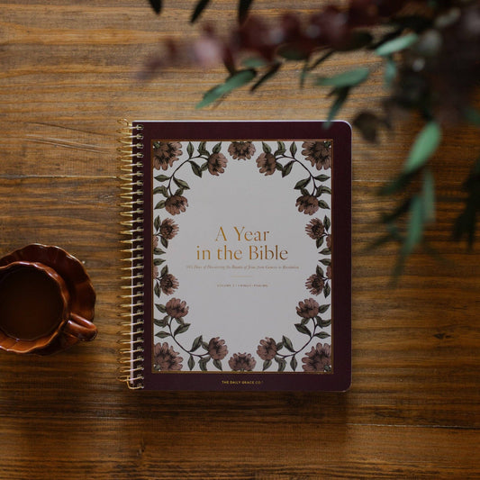 A Year in the Bible | Volume 2 Bible Study